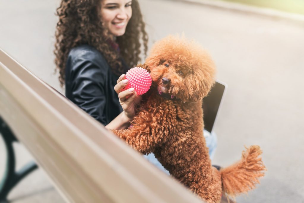 Happy young woman and little dog playing outdoors