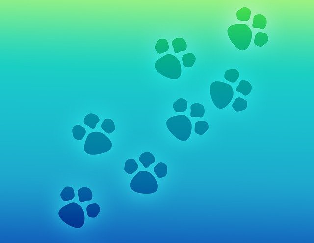 Print dog